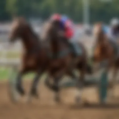 Detailed schedule of Plainridge harness racing