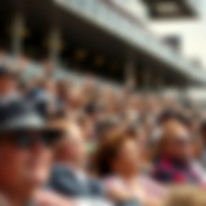 Vibrant Crowd Experience Enthusiastic crowd enjoying the Cheltenham Races