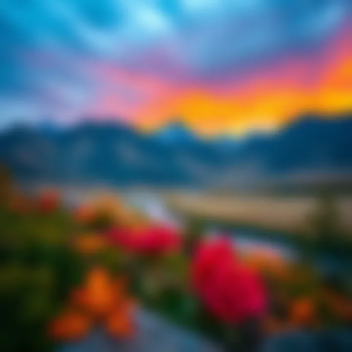 Colorado's Natural Beauty A scenic view of the Colorado landscape with vibrant colors